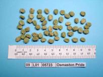 Click for 3 image(s) for this accession. Image